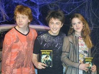 Harry Ron And Hermione Wallpaper