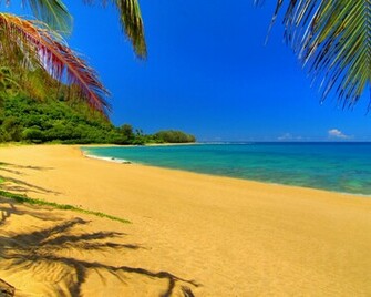 Wallpaper Hawaii Meer Sand Palmen Sommer Gro E Auf Dem