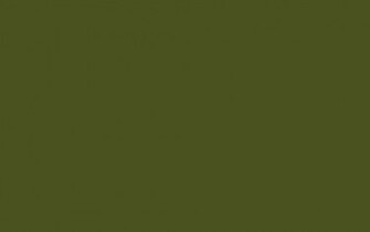 Green Solid Color Background And The Below