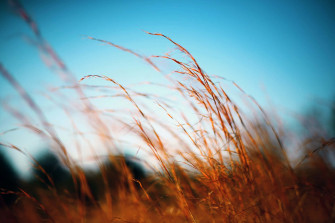 Peaceful Relaxing Wallpaper