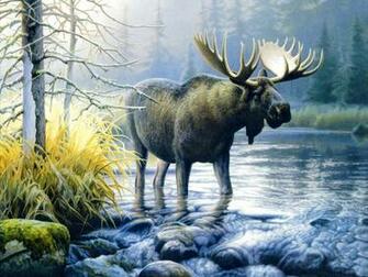 Image Collection Of Moose Ntiu24