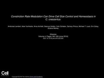 Constriction Rate Modulation Can Drive Cell Size Control And