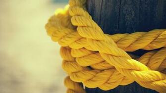 High Definition Yellow Wallpaper Background For