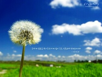 Labels Bible Quotes Verse Wallpaper Christian Background