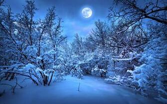 Full Moon Blue Winter Wallpaper And Stock Photos