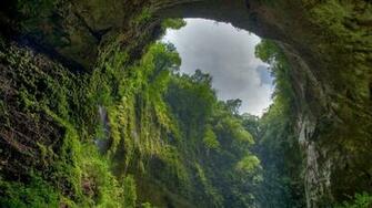 Cave Overgrown Greenery Inside Wallpaper And Image