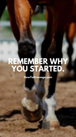 Remember Why You Started Phone Wallpaper In Horse
