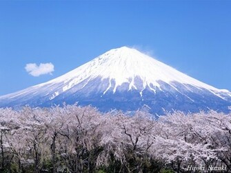 More Mount Fuji Wallpaper Japan