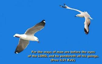 Year Bible Verse Greetings Card Wallpaper September