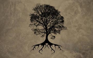 Tree Silhouette HD Wallpaper