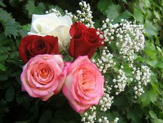 Roses Bouquet Wallpaper Beautiful