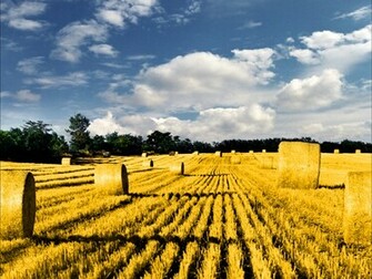 Vojvodina Serbia Wallpaper Stock Photos
