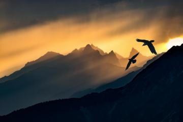 Dark Sky Sunlight Birds Nature Animals Mountains Wallpaper