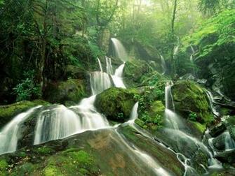 Cliff Branch Parque Nacional Great Smoky Mountains Tennessee