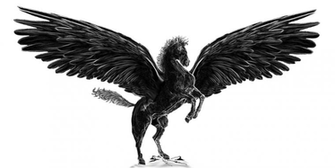 Black Pegasus By Minihook