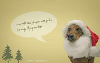 Bie Holiday Desktop Wallpaper Ammo The Dachshund