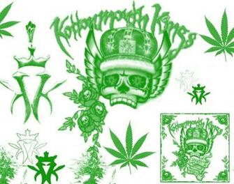 Best Srh Wallpaper Potluck
