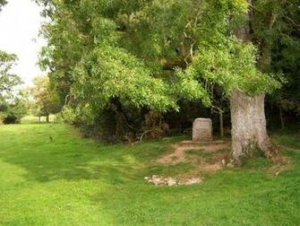 Marker Stone And Trees Tours Wallpaper City