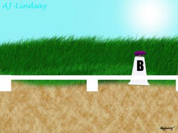 Background Dressage Arena By Aj Lindsay