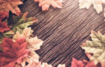 Photo Wallpaper Autumn Leaves Background Tree Wood Fall
