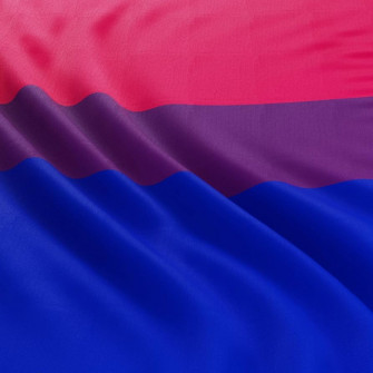 Amazon Decovibe Bi Flag Ft For Indoor Wall Decor
