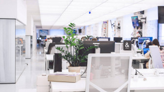 Bright Zoom Office Wallpaper