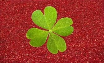Leaf Clover Wallpaper Four