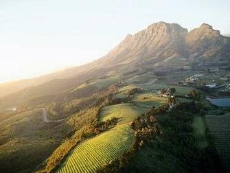 Vineyard Photos National Geographic
