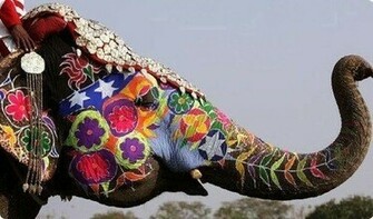 Elephant Art Pictify Your Social Network