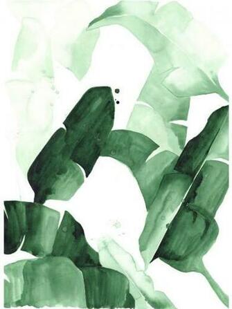 Beverly Banana Leaf Tropical Watercolor Print Green Leaves The