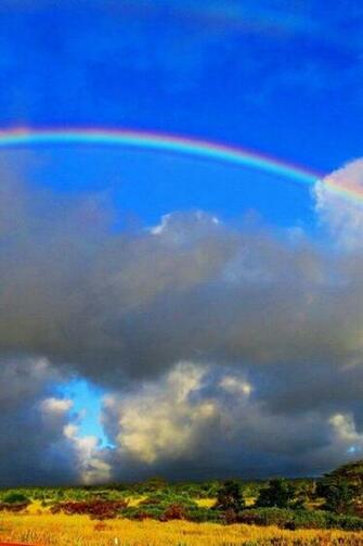 Rainbow Live Wallpaper Android Apps On Google Play