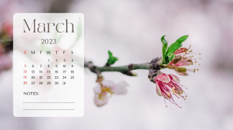 And Customizable Spring Desktop Wallpaper Templates