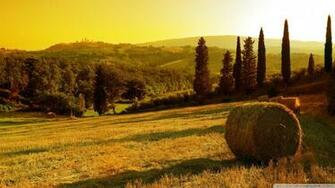 Italian Countryside Wallpaper Top