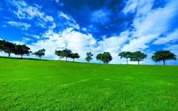 Landscaping Wallpaper Top Background