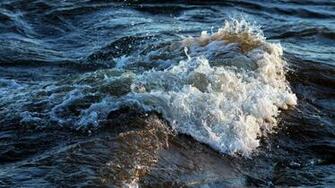 Ttqrjaqdwzi Aaaaaaaacbq Ipvrdh91acg S1600 Nature Jpg