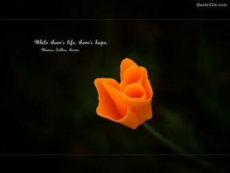 Inspirational Wallpaper The Secret