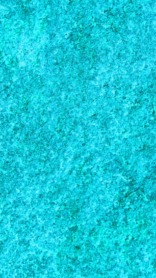 Turquoise Wallpaper