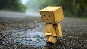 Rainy Danbo Wallpaper Myspace Background