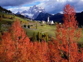 Italy Scenery Red Tree Wallpaper