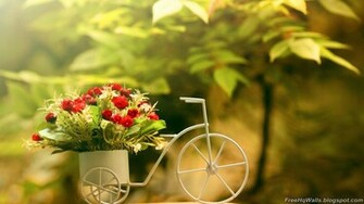 Flower Bouquet Wallpaper HD