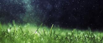 Ultra Wide HD Wallpaper
