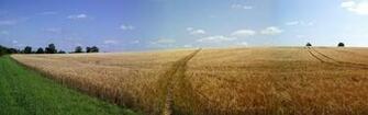 Dual Screen Scenes Of Nature HD Wallpaper Widescreen
