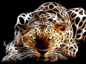 Neon Animals Wallpaper Broken Panda