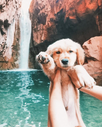 My Aesthetic