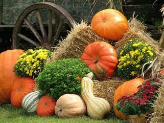 Desktop Background Wallpaper Pc Holiday Great Pumpkins