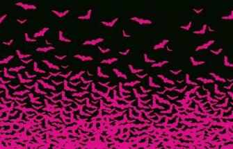 Cool Background Gifs Animated Gif