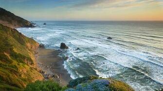 Nature Coast Flowers Cliffs California Redwoods Beach Wallpaper