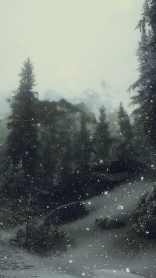 Snow Forest Wallpaper iPhone