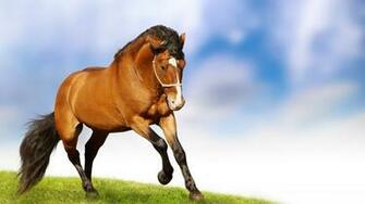 HD Wallpaper Horses 3d