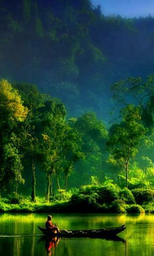 Nature Wallpaper Screensaver Pre Id